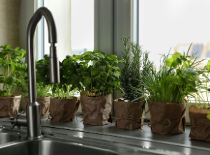 Small Kitchen Details That Make Your Space Look Expensive screenshot 2026 04 28 224405